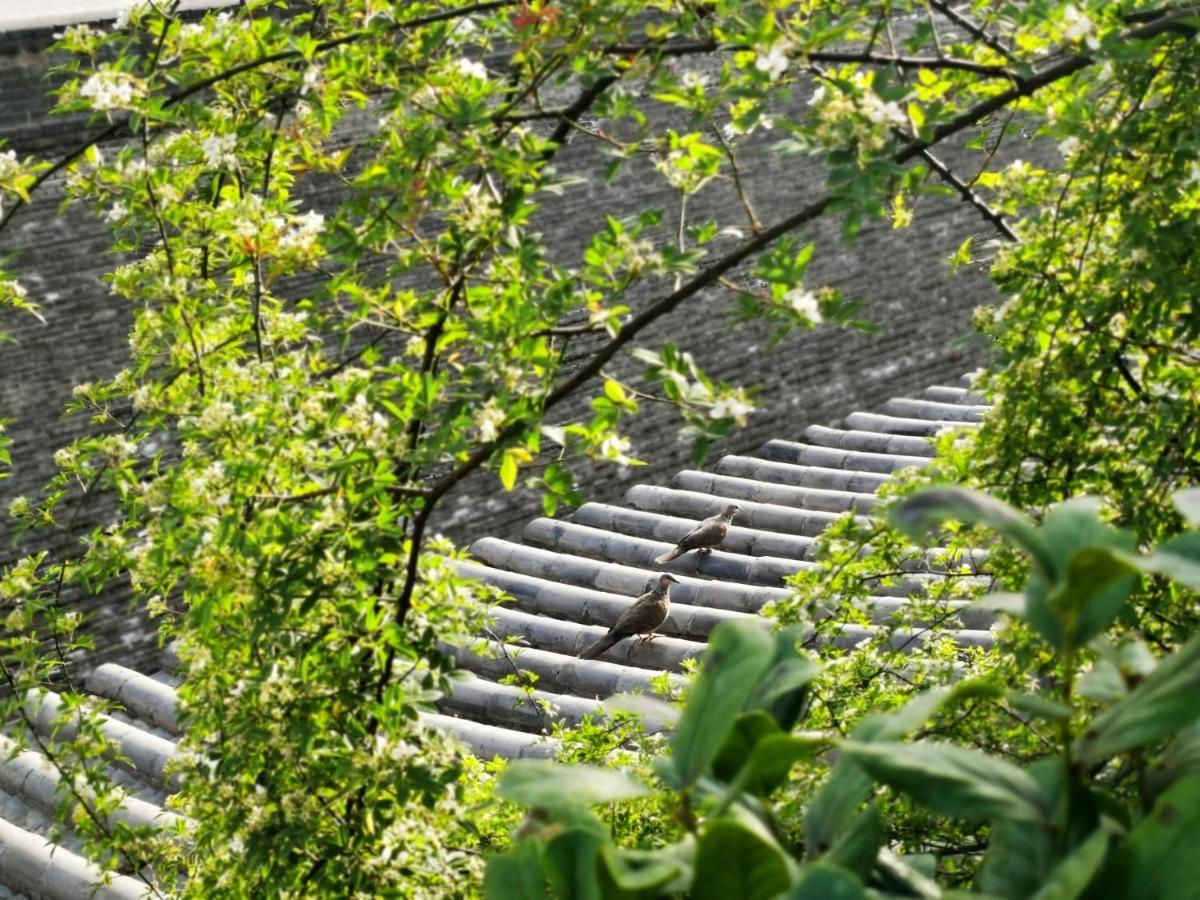 西安璞宿清居 外观 照片