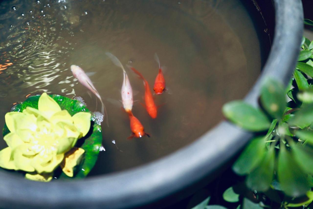 西安璞宿清居 外观 照片